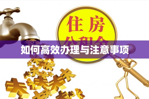 安义如何高效办理与注意事项