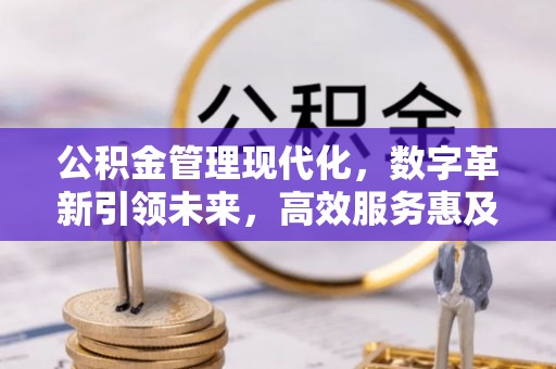 安义公积金管理现代化，数字革新引领未来，高效服务惠及民生