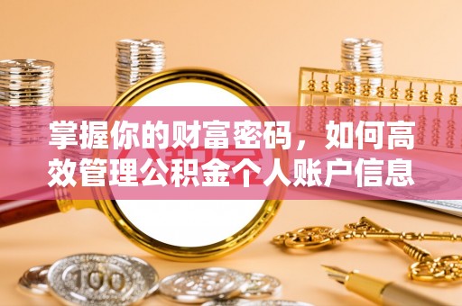 安义掌握你的财富密码，如何高效管理公积金个人账户信息