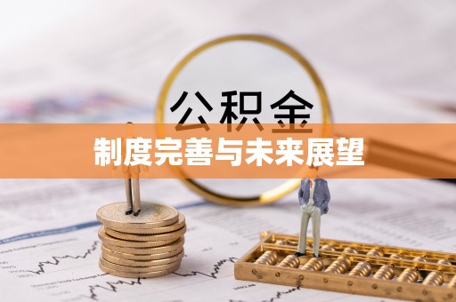 安义制度完善与未来展望