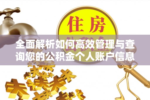 安义全面解析如何高效管理与查询您的公积金个人账户信息