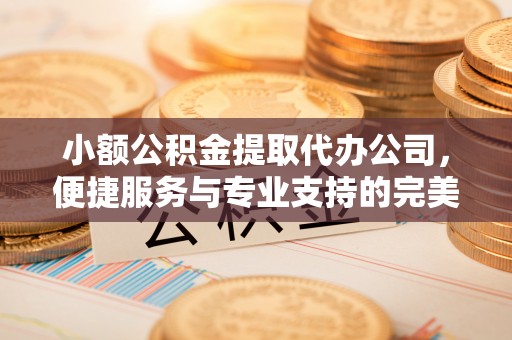 安义小额公积金提取代办公司，便捷服务与专业支持的完美结合