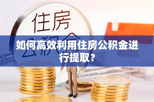 安义如何高效利用住房公积金进行提取？